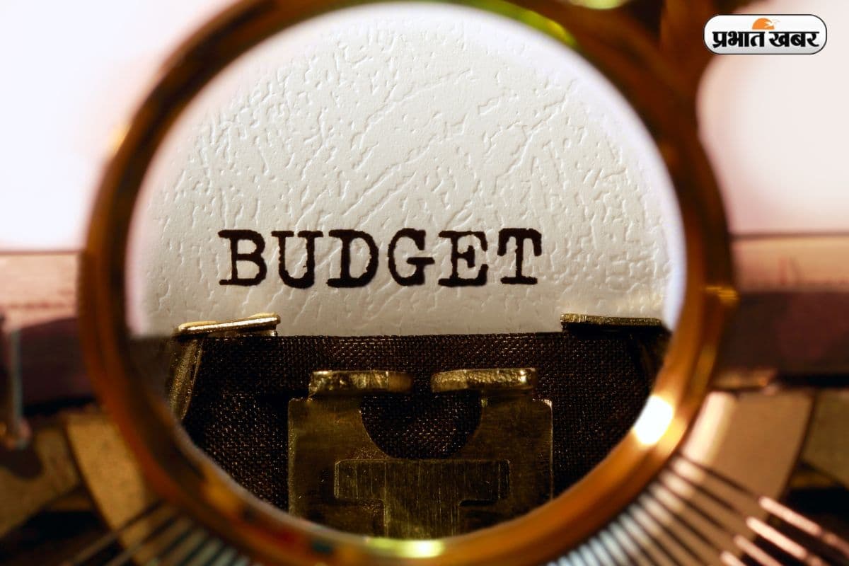 Budget 2026: टैक्स में राहत और निवेश की बहार, CRISIL ने बताया बजट 2026 का पूरा गणित
