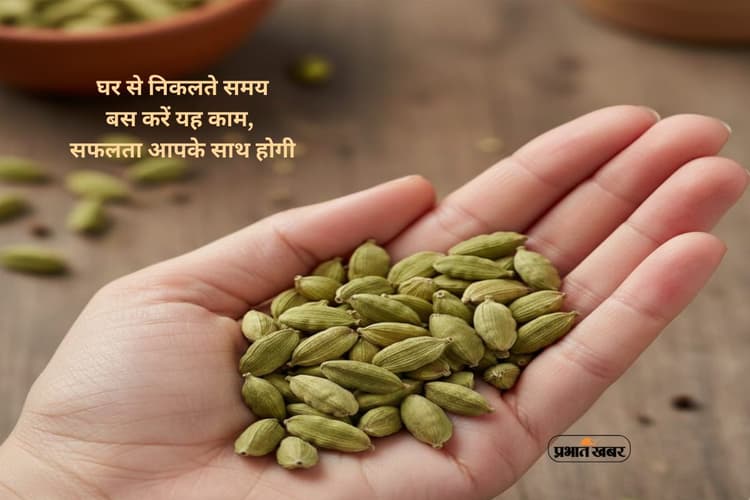 Cardamom Remedy: काम अटका है? बाहर निकलते समय आजमाएं यह उपाय, कार्य होगा सफल