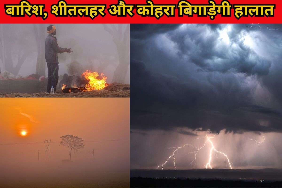 Cold Wave And Rain Alert