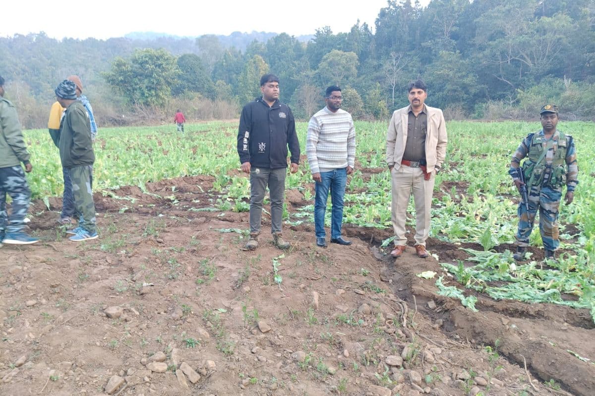 Gumla Opium Cultivation