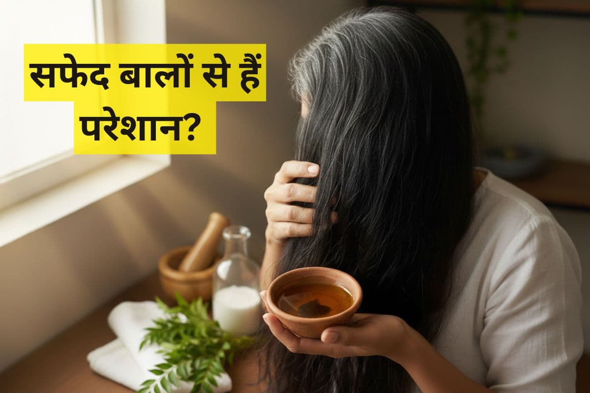 Hair Care: सफेद बालों से हैं परेशान? नारियल तेल में मिलाकर लगाएं ये एक चीज, बाल होंगे जड़ से काले और घने Hair Care: सफेद बालों से हैं परेशान? नारियल तेल में मिलाकर लगाएं ये एक चीज, बाल होंगे जड़ से काले और घने