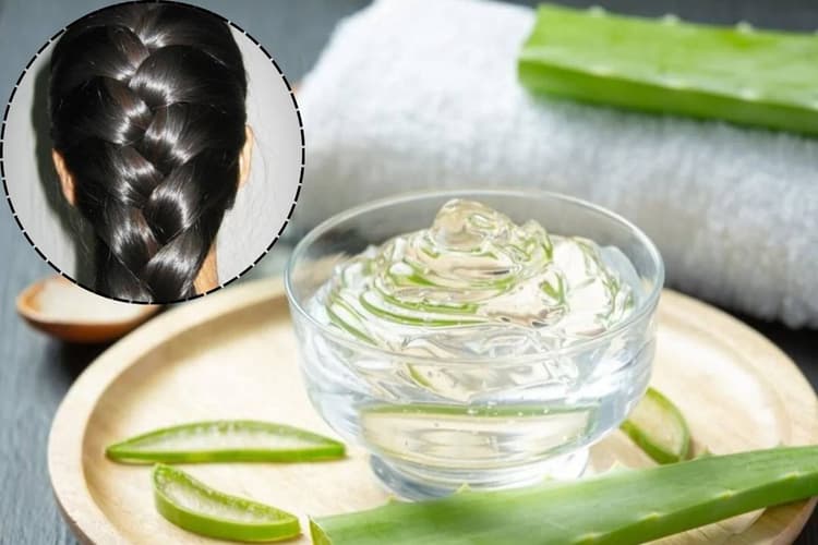 Aloe Vera for Strong and Shiny Hair: एलोवेरा को बालों में कैसे लगाना चाहिए? जानें सही तरीका