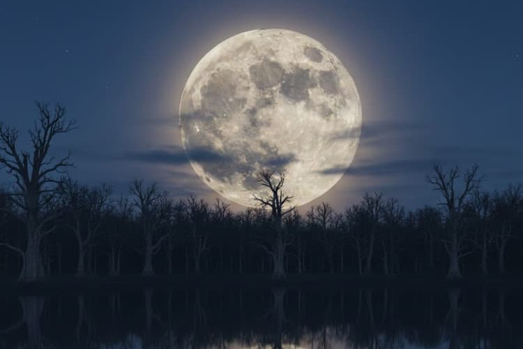 Magh Purnima 2026: 1 फरवरी को है माघ पूर्णिमा, जानें इस दिन क्या करना शुभ है और क्या करना अशुभ