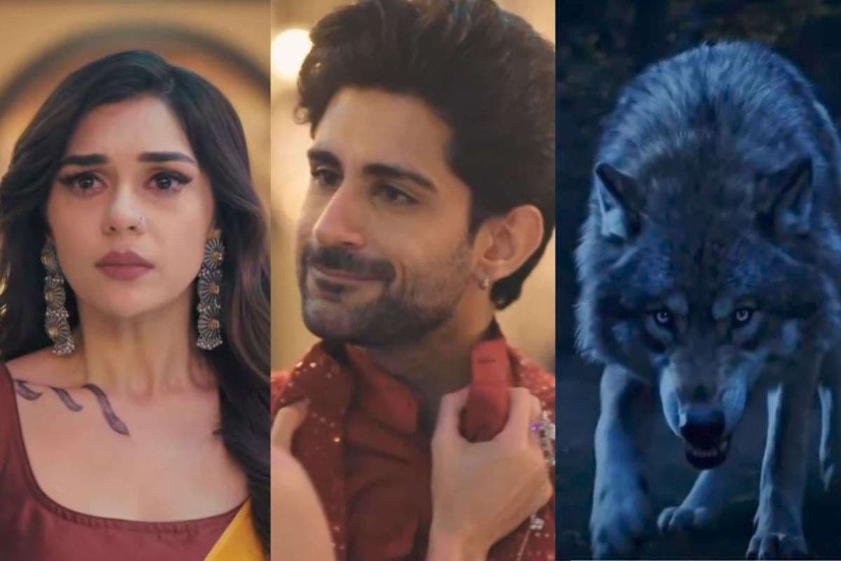 Naagin 7 Spoiler: आर्यमान के प्यार में गिरी पूर्वी, शादी से पहले रमेश के बच्चे की मां बनेगी अनंता, भेड़िए की एंट्री से मचेगा बवाल Naagin 7 Spoiler: आर्यमान के प्यार में गिरी पूर्वी, शादी से पहले रमेश के बच्चे की मां बनेगी अनंता, भेड़िए की एंट्री से मचेगा बवाल