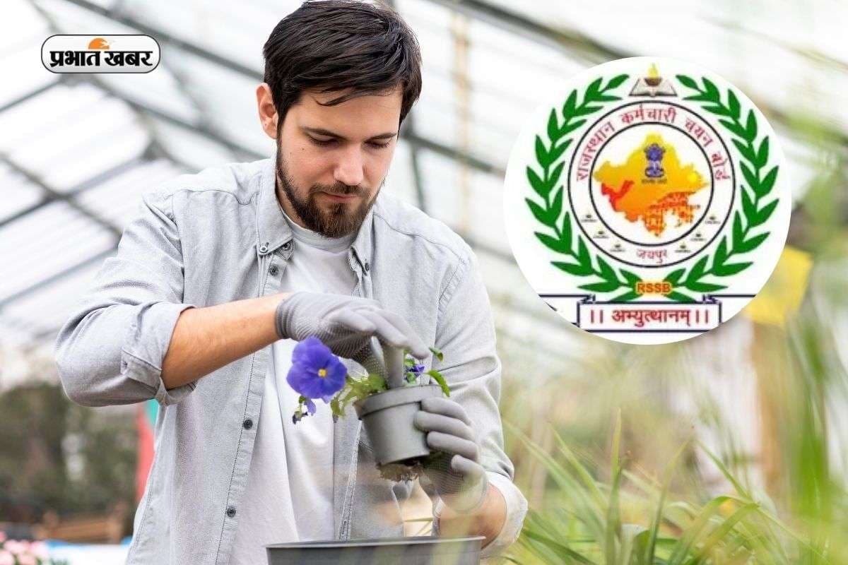 RSSB Agriculture Supervisor Recruitment 2026: 1100 पदों पर एग्रीकल्चर सुपरवाइजर की भर्तियां, जल्द शुरू होगी आवेदन प्रक्रिया