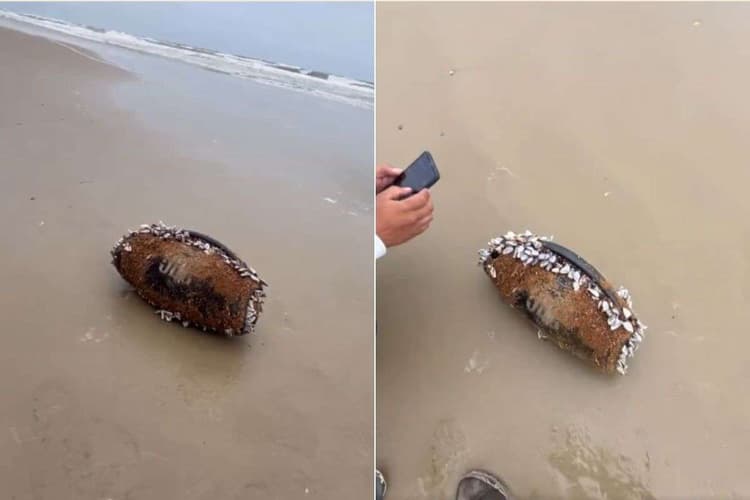 Viral Video: 3 महीने समुद्र में रहने के बाद भी JBL स्पीकर से बज रहा था गाना, वीडियो देख सोशल मीडिया यूजर्स रह गए दंग