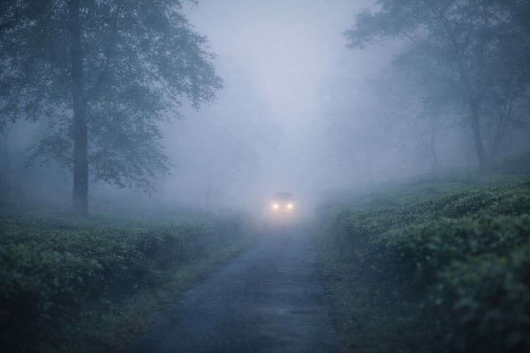 11 जनवरी को बंगाल में कड़ाके की ठंड और घने कोहरे का अलर्ट, जानें आपके जिले का हाल