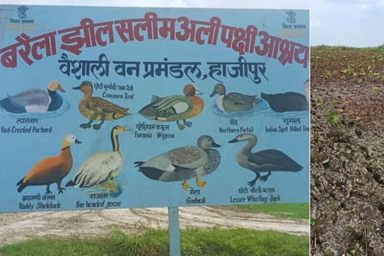 सूखी बरैला झील में लौटेगी चहचहाहट, नीतीश सरकार के मास्टरप्लान से बदलेगी वैशाली की तस्वीर