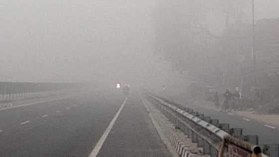 पथरगामा में घने कोहरे और कनकनी ने जनजीवन किया अस्त-व्यस्त