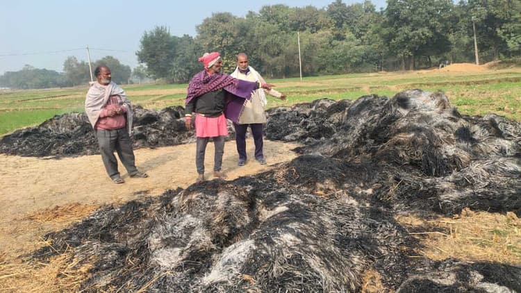 असामाजिक तत्वों ने धान पुंज में लगायी आग