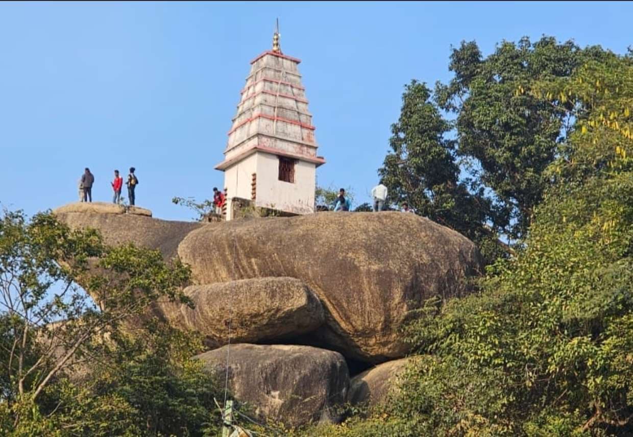 सर्द हवा की कनकनी के बीच लोगों ने मनाया जश्न