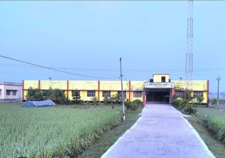 खेतीबाड़ी : यूरिया के विकल्प के रूप में अमोनियम सल्फेट अपनाने की सलाह