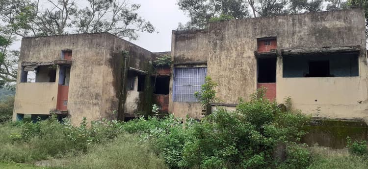 Bokaro News : खंडहर में तब्दील हुए तारमी कोलियरी कॉलोनी के दर्जनों क्वार्टर