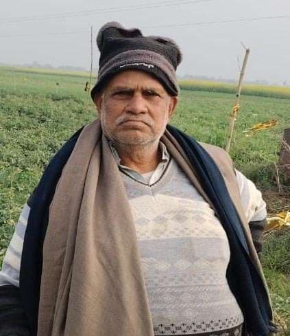 जिले के लाल टमाटर में लगी नजर, ग्राहक के जेब पर पड़ रहा बोझ