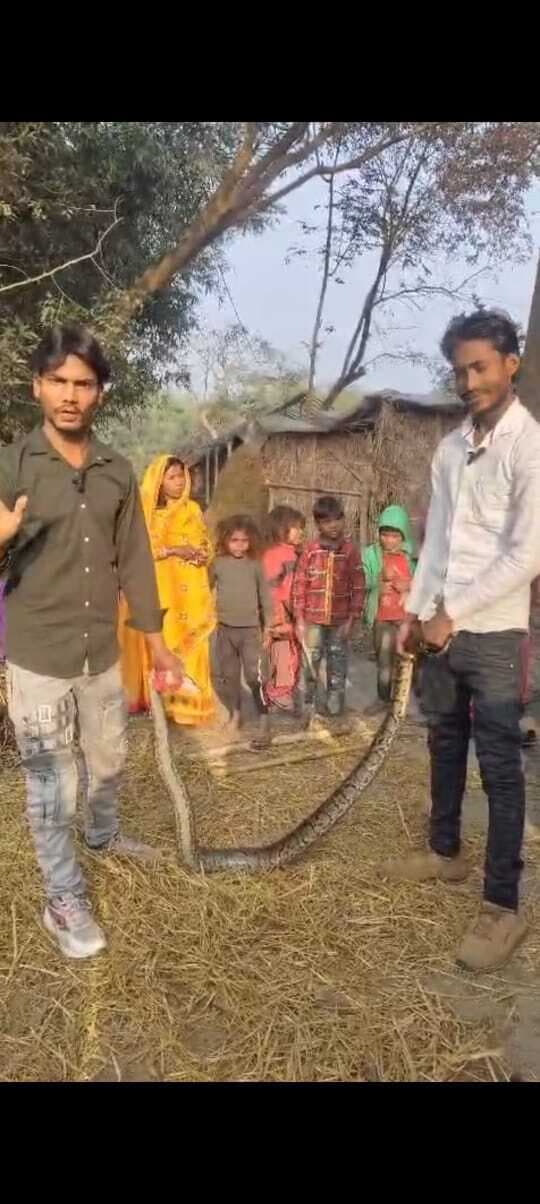 अजगर पकड़ कर वन विभाग को दी सूचना