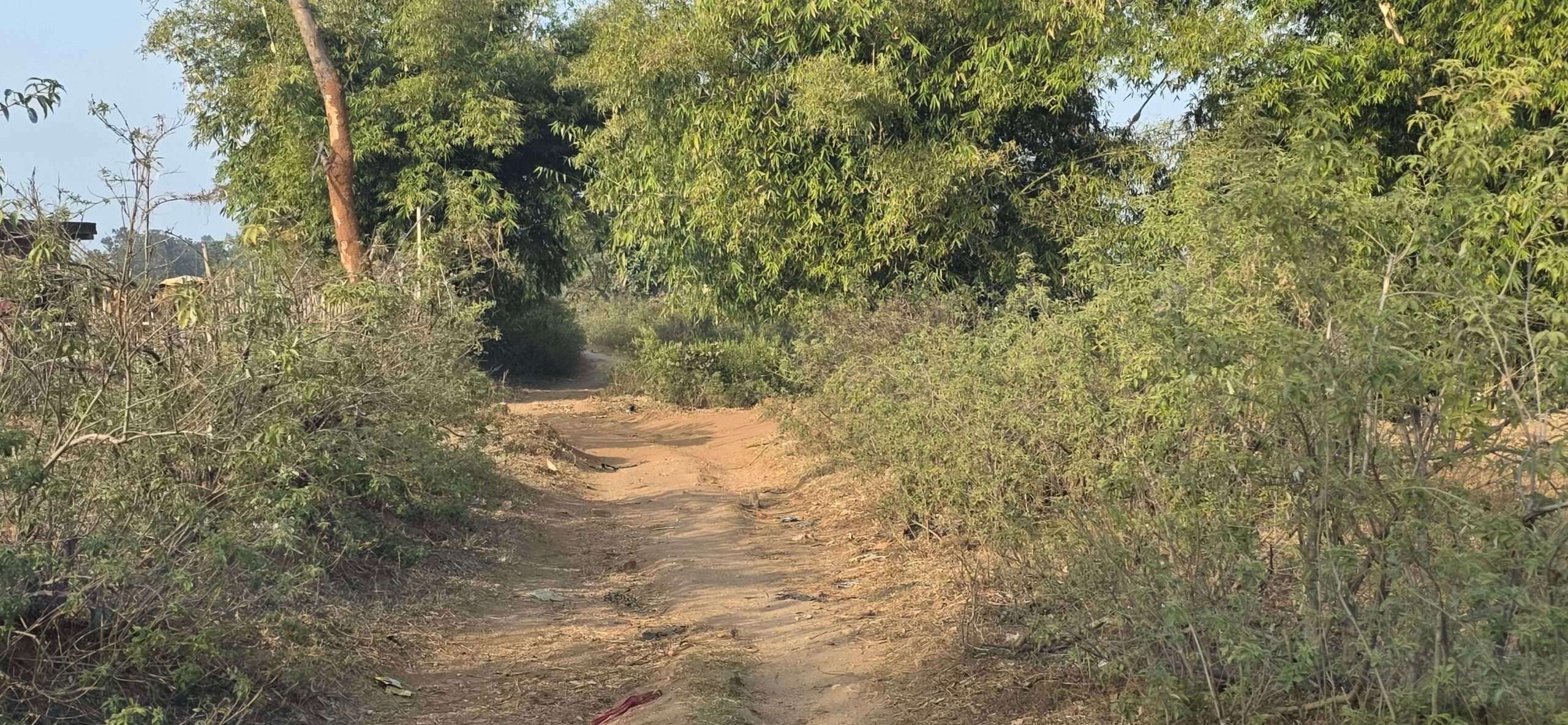 Giridih News :आज तक नहीं बनी अंबाखोरी-महुआटांड़ को जोड़ने वाली सड़क