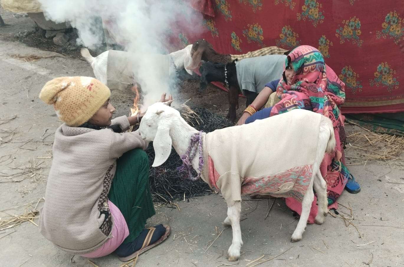तीन दिन सात डिग्री रहेगा न्यूनतम तापमान
