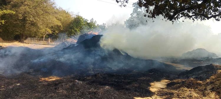 Giridih News :शॉर्ट सर्किट से खलिहान में लगी आग