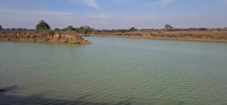 Giridih News :त्रिवेणी में मकर संक्रांति उत्सव की तैयारी पूरी