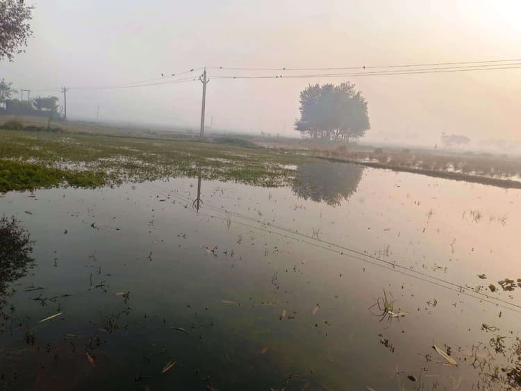 डेम से पानी छोड़े जाने के बाद चोरगांव नहर जलमग्न, खेतों में पानी किया प्रवेश