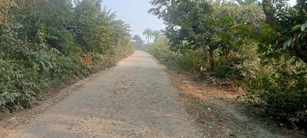 नावाडीह-मुकेरिचक मार्ग की जर्जर सड़क ग्रामीणों के लिए बनी परेशानी का कारण