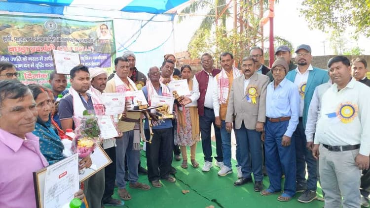 Bokaro News : मवेशी बीमार हो तो 1962 नंबर पर करें डायल, आयेगी एंबुलेंस