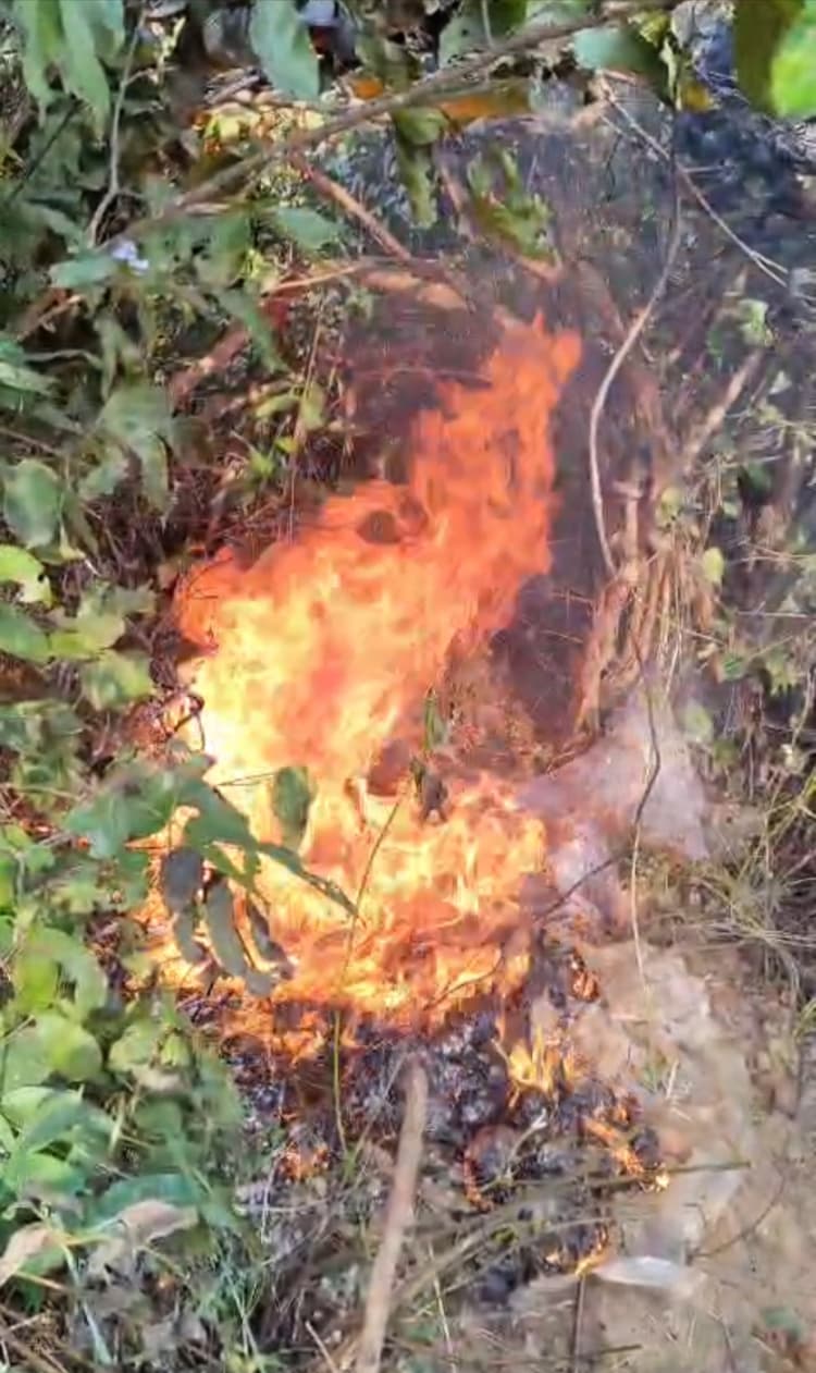 दो शराब भट्टियां ध्वस्त, 1500 लीटर जावा महुआ को किया नष्ट