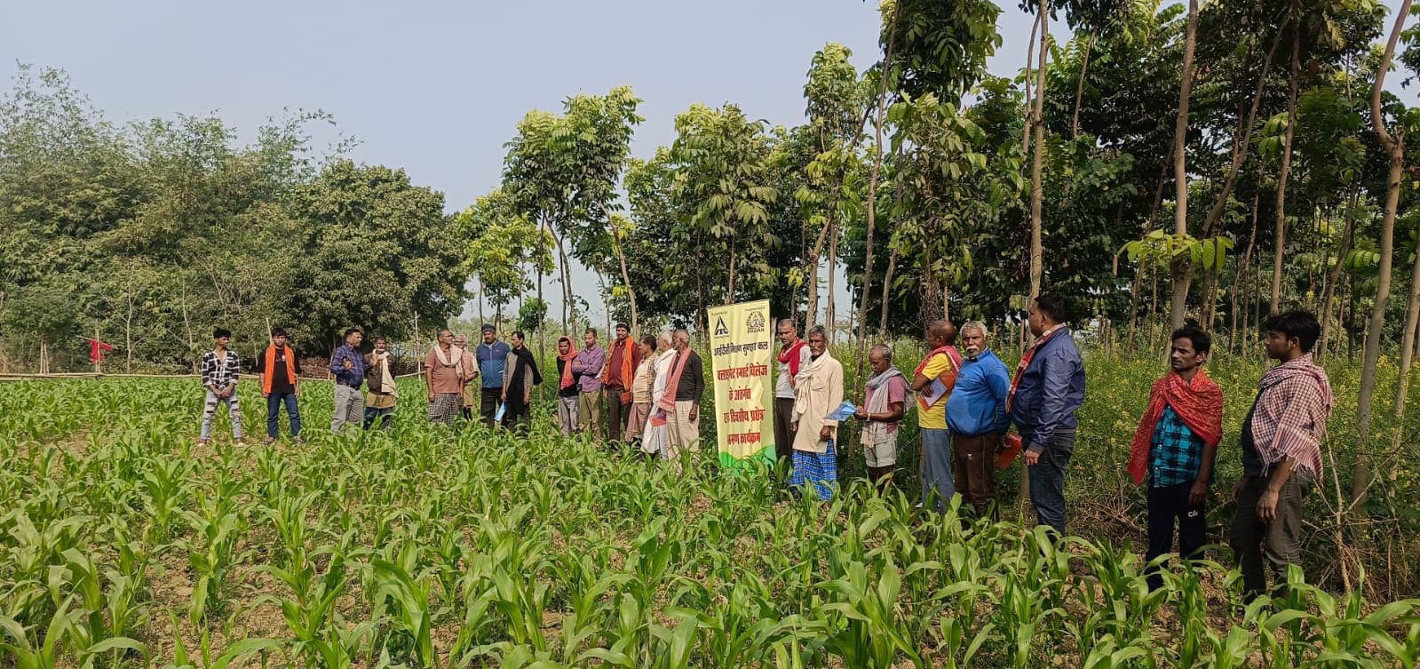 गेहूं में सिंचाई व कीट प्रबंधन पर हुई चर्चा