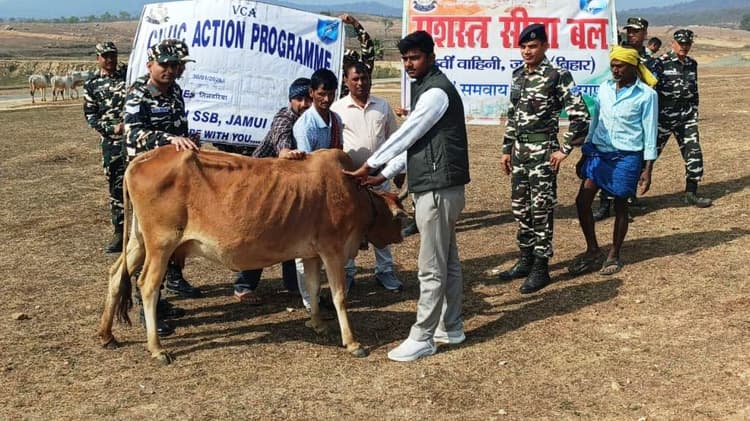 एसएसबी व पशु चिकित्सा विभाग ने लगाया शिविर, 309 पशुओं की हुई जांच