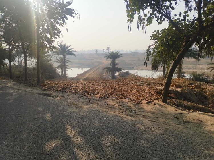 सामाजिक कार्यकर्ता ने की पेड़ों की अवैध कटाई रोकने की मांग