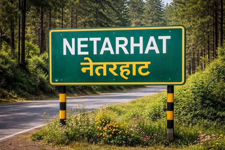 ‘छोटा नागपुर की रानी’ नेतरहाट घूमने जा रहे हैं तो ये 5 जगह मिस न करें