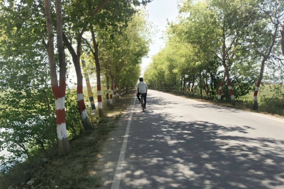 औरंगाबाद-कैमूर में 31 डिग्री पार गर्मी, रात में ठंड बरकरार, मार्च में ही चलेंगे कूलर?