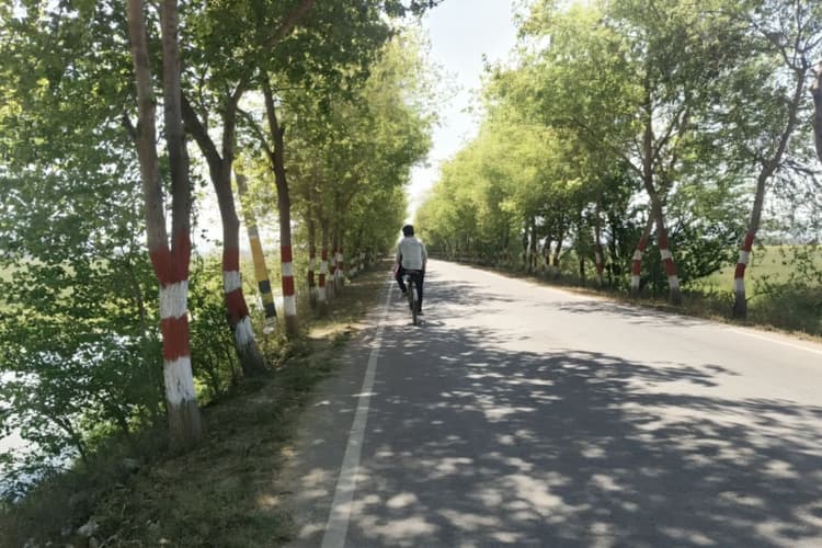 औरंगाबाद-कैमूर में 31 डिग्री पार गर्मी, रात में ठंड बरकरार, मार्च में ही चलेंगे कूलर?