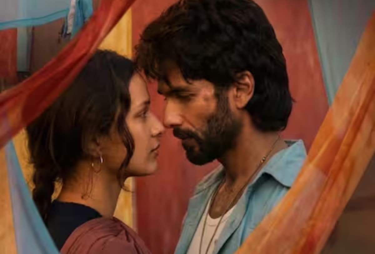 O Romeo Released shahid kapoor triptii dimri review romantic scene action bollywood news