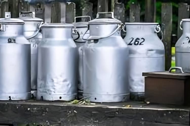 बिहार के हर गांव में खुलेगी डेयरी यूनिट, सुधा पार्लर से चमकेगी जीविका दीदियों की किस्मत