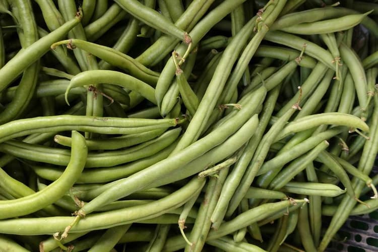 बीन्स को फ्रेश रखने के लिए फॉलो करें ये जबरदस्त टिप्स