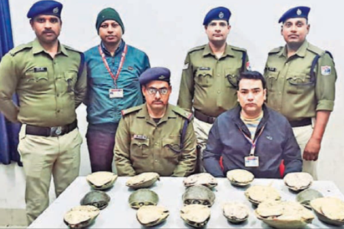 दून एक्सप्रेस से 16 पीस कछुआ ��रामद, वन विभाग को सौंपा गया