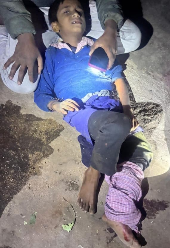 Bokaro News : हाथियों ने ली दादा-पोते की जान, दो बच्चे व महिला घायल