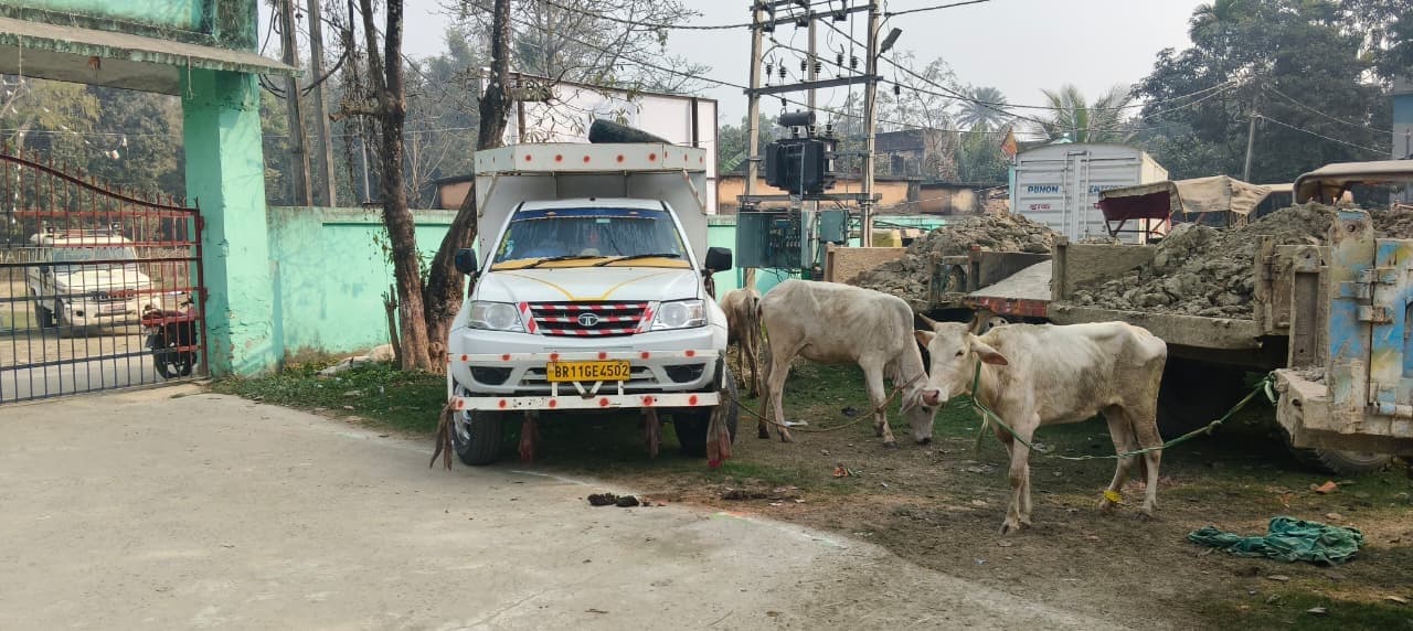 पिकअप पर लोड 10 गायों को किया जब्त, चालक गिरफ्तार