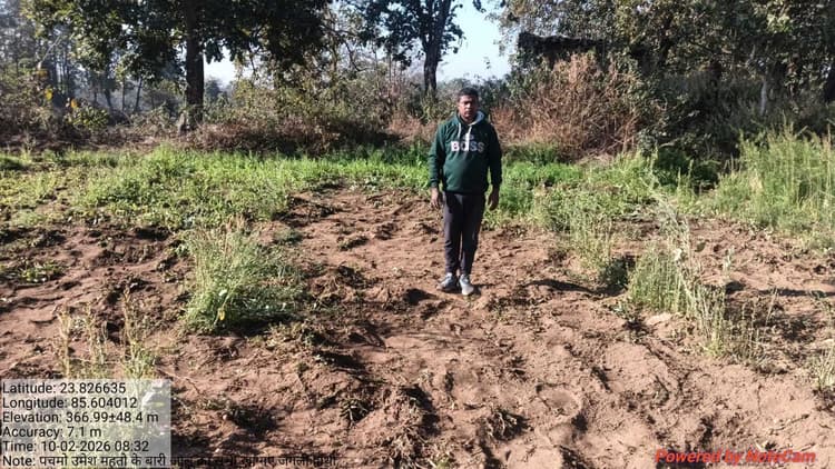 Bokaro News : झुमरा पहाड़ क्षेत्र में हाथियों का उत्पात