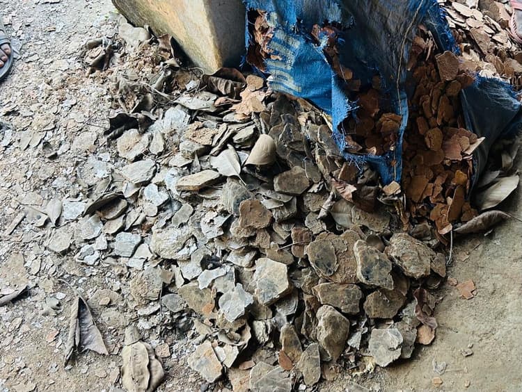 Giridih News :तिसरी प्रखंड में थम नहीं रहा माइका तस्करी का धंधा