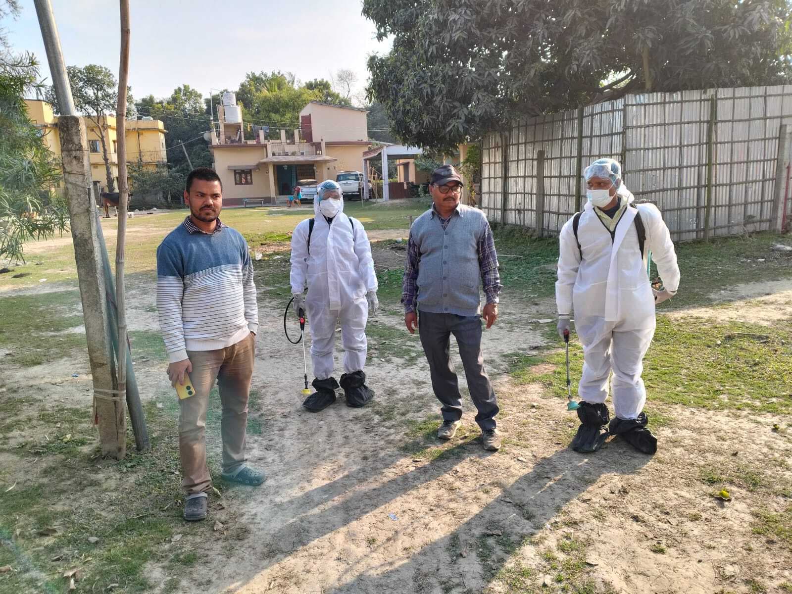 संक्रमण रोकने के लिए कीटनाशी का छिड़काव