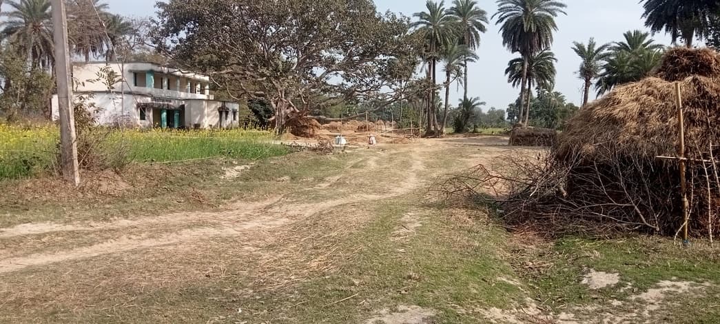 ठाकुरगंगटी के उत्क्रमित प्राथमिक विद्यालय तक सड़क निर्माण का इंतजार