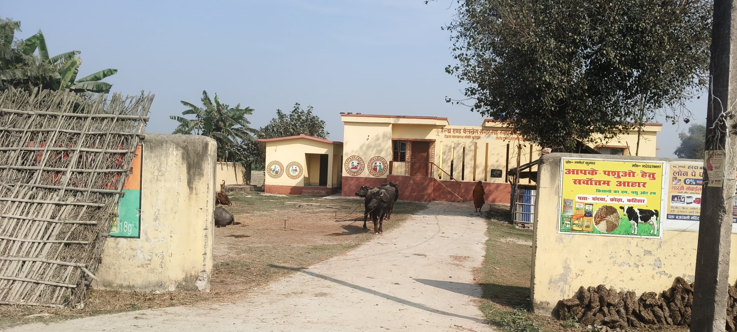 चंदवा उपस्वास्थ्य केंद्र परिसर बना तबेला, कार्रवाई की मांग