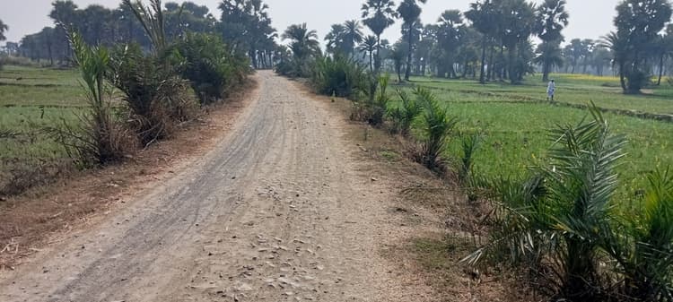 फुलबड़िया पंचायत में जर्जर सड़क से लोगों का मुश्किल भरा सफर