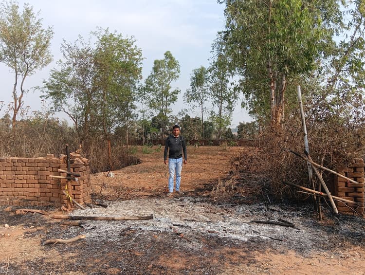 Giridih News :असामाजिक तत्वों ने बागवानी में लगायी आग, पौधे झुलसे