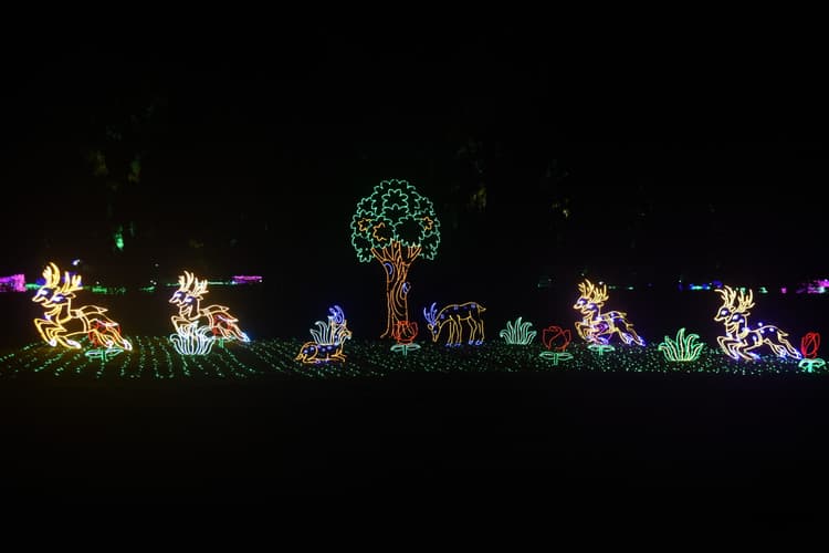 jamshedpur news : जुबिली पार्क से लेकर प्रमुख सड़कें सजकर तैयार, एआइ आधारित दिखेगी लाइट