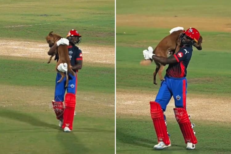 Video: बैटिंग छोड़ कुत्ते के साथ खेलने लगा खिलाड़ी, दिल्ली के प्रैक्टिस मैच में दिखा अनोखा नजारा
