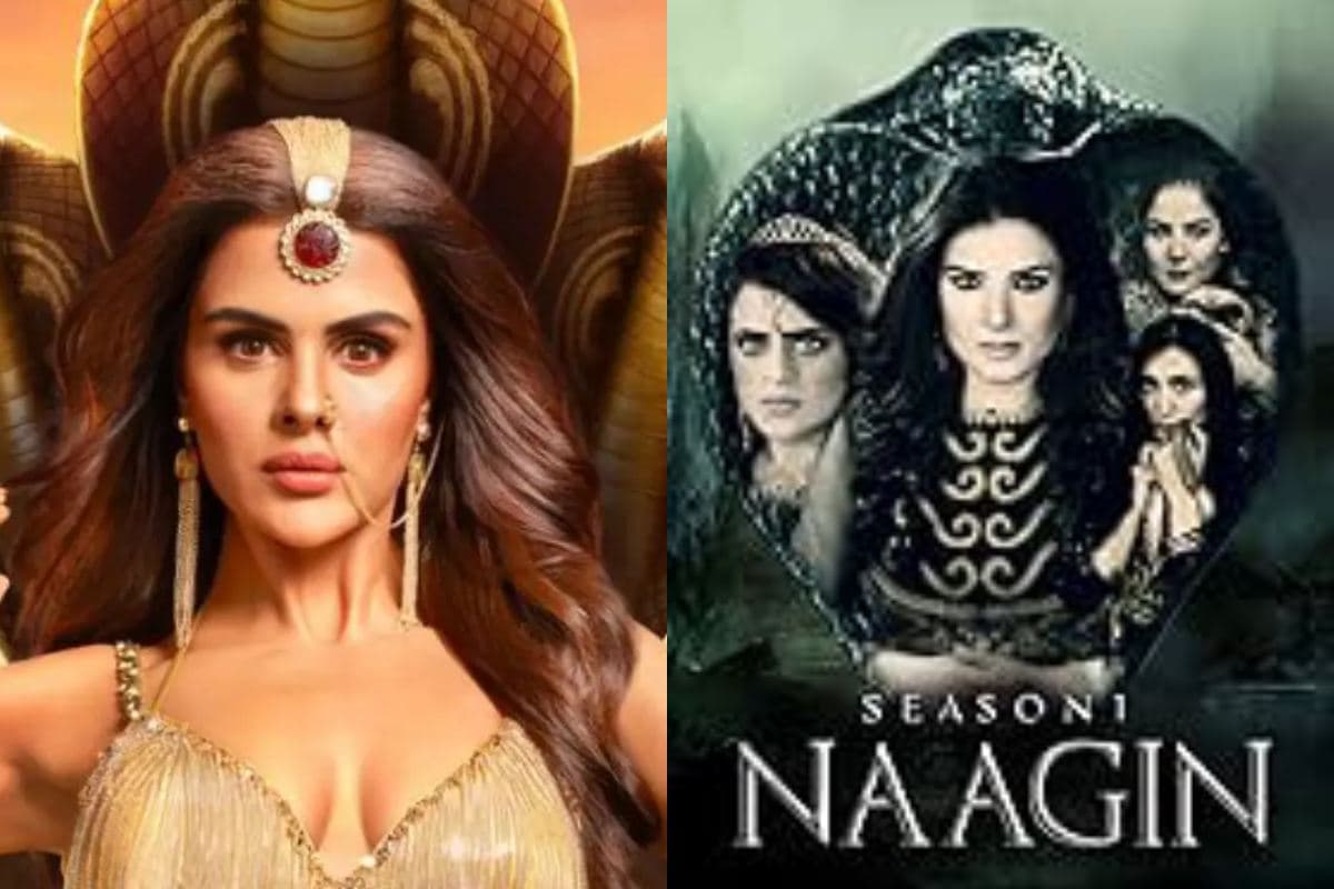 Naagin In Pakistan show copy ekta kapoor indian controversy