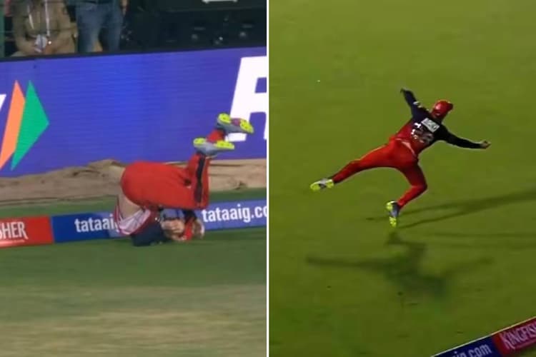 सुपरमैन की तरह हवा में उड़े फिल साल्ट, लपके शानदार कैच, Video देख चौंक जाएंगे आप